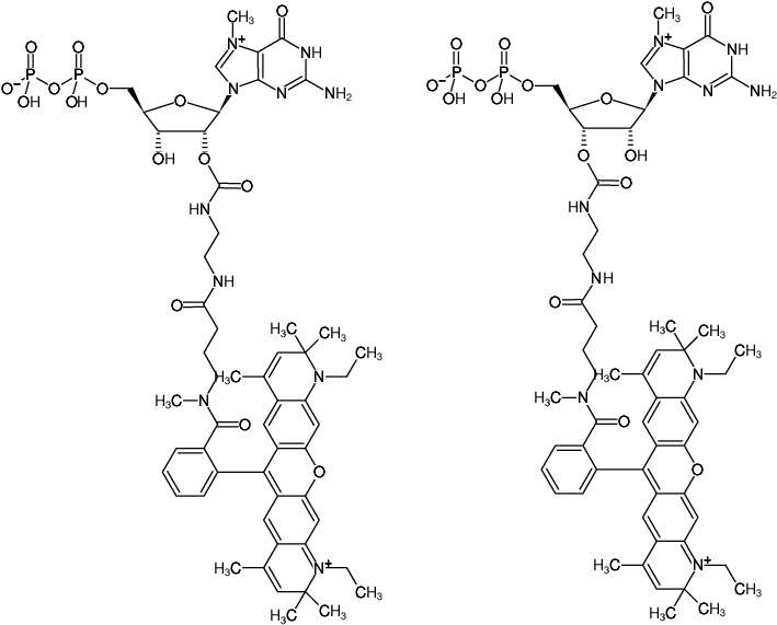 Structural formula of EDA-m7GDP-ATTO-Rho13 (2'/3'-O-(2-Aminoethyl-carbamoyl)-7-methyl-guanosine-5'-diphosphate, labeled with ATTO Rho13, Triethylammonium salt)