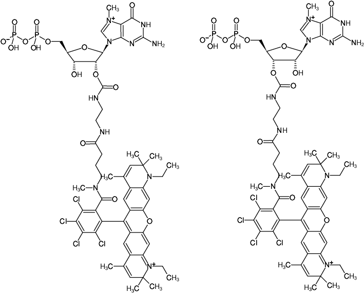 Structural formula of EDA-m7GDP-ATTO-Rho14 (2'/3'-O-(2-Aminoethyl-carbamoyl)-7-methyl-guanosine-5'-diphosphate, labeled with ATTO Rho14, Triethylammonium salt)