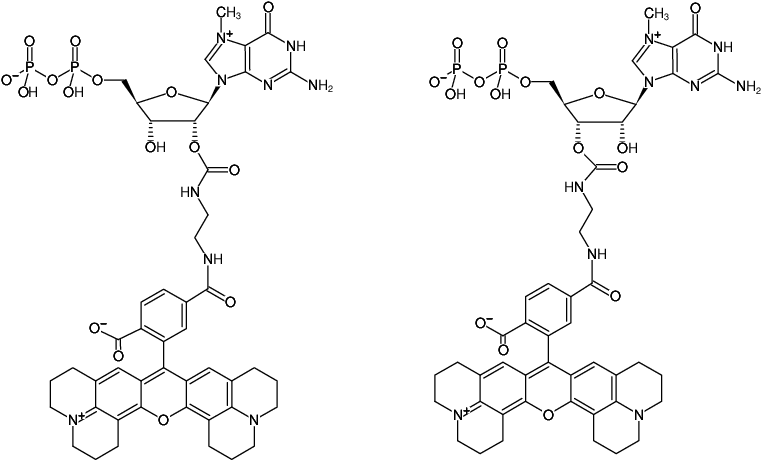 Structural formula of EDA-m7GDP-6-ROX (2'/3'-O-(2-Aminoethyl-carbamoyl)-7-methyl-guanosine-5'-diphosphate, labeled with 6-ROX)