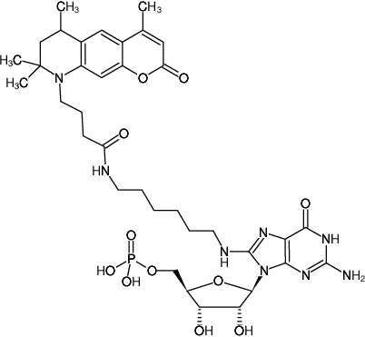 Structural formula of 8-(6-Aminohexyl)-amino-GMP-ATTO-390 (8-(6-Aminohexyl)-amino-guanosine-5'-monophosphate, labeled with ATTO 390, Triethylammonium salt)