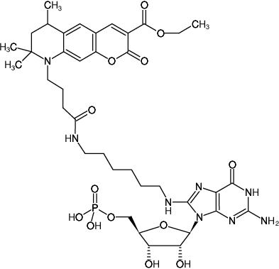 Structural formula of 8-(6-Aminohexyl)-amino-GMP-ATTO-425 (8-(6-Aminohexyl)-amino-guanosine-5'-monophosphate, labeled with ATTO 425, Triethylammonium salt)