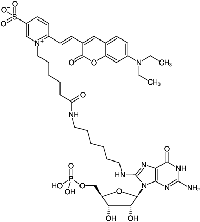 Structural formula of 8-(6-Aminohexyl)-amino-GMP-DY-480XL (8-(6-Aminohexyl)-amino-guanosine-5'-monophosphate, labeled with DY 480XL, Triethylammonium salt)