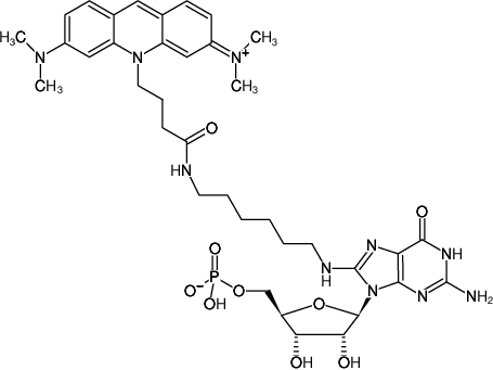 Structural formula of 8-(6-Aminohexyl)-amino-GMP-ATTO-495 (8-(6-Aminohexyl)-amino-guanosine-5'-monophosphate, labeled with ATTO 740, Triethylammonium salt)