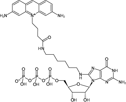 Structural formula of 8-(6-Aminohexyl)-amino-GTP-ATTO-465 (8-(6-Aminohexyl)-amino-guanosine-5'-triphosphate, labeled with ATTO 465, Triethylammonium salt)