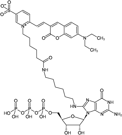 Structural formula of 8-(6-Aminohexyl)-amino-GTP-DY-480XL (8-(6-Aminohexyl)-amino-guanosine-5'-triphosphate, labeled with DY 480XL, Triethylammonium salt)