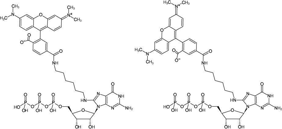 Structural formula of 8-(6-Aminohexyl)-amino-GTP-5/6-TAMRA (8-(6-Aminohexyl)-amino-guanosine-5'-triphosphate, labeled with 5/6-TAMRA, Triethylammonium salt)