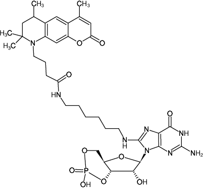 Structural formula of 8-(6-Aminohexyl)-amino-cGMP-ATTO-390 (8-(6-Aminohexyl)-amino-guanosine-3',5'-cyclic monophosphate, labeled with ATTO 390, Triethylammonium salt)