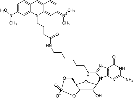 Structural formula of 8-(6-Aminohexyl)-amino-cGMP-ATTO-495 (8-(6-Aminohexyl)-amino-guanosine-3',5'-cyclic monophosphate, labeled with ATTO 495)