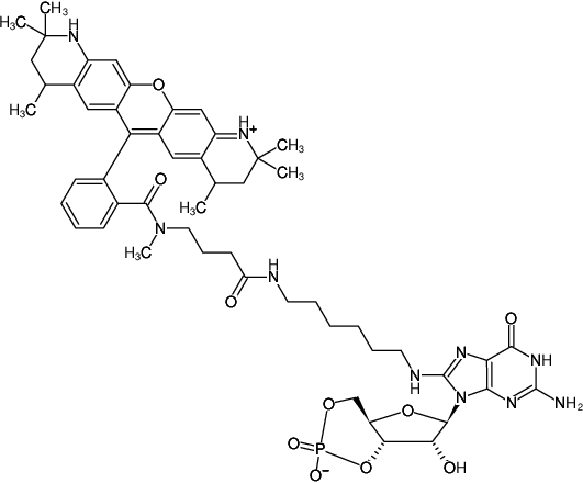 Structural formula of 8-(6-Aminohexyl)-amino-cGMP-ATTO-550 (8-(6-Aminohexyl)-amino-guanosine-3',5'-cyclic monophosphate, labeled with ATTO 550, Triethylammonium salt)