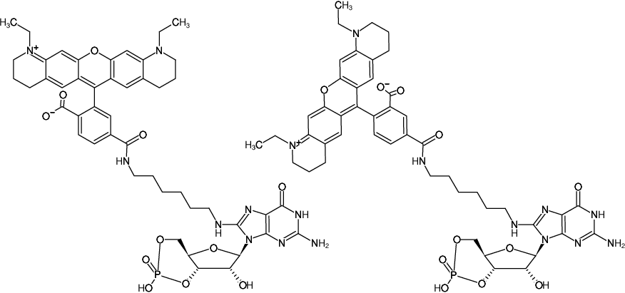 Structural formula of 8-(6-Aminohexyl)-amino-cGMP-ATTO-565 (8-(6-Aminohexyl)-amino-guanosine-3',5'-cyclic monophosphate, labeled with ATTO 565)