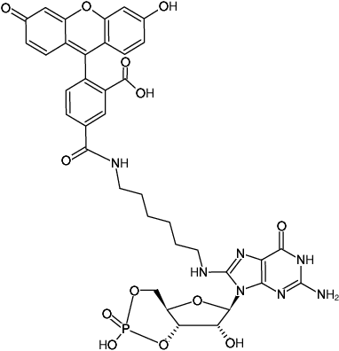 Structural formula of 8-(6-Aminohexyl)-amino-cGMP-5-FAM (8-(6-Aminohexyl)-amino-guanosine-3',5'-cyclic monophosphate, labeled with 5 FAM, Triethylammonium salt)