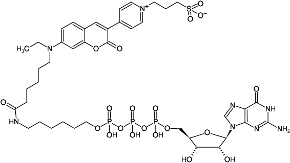 Structural formula of γ-(6-Aminohexyl)-GTP-DY-485XL (γ-(6-Aminohexyl)-guanosine-5'-triphosphate, labeled with DY 485XL, Triethylammonium salt)