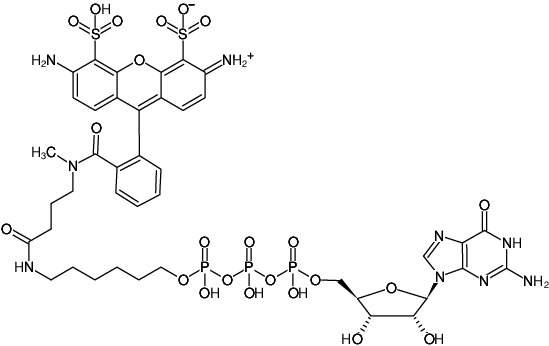 Structural formula of γ-(6-Aminohexyl)-GTP-ATTO-488 (γ-(6-Aminohexyl)-guanosine-5'-triphosphate, labeled with ATTO 488, Triethylammonium salt)