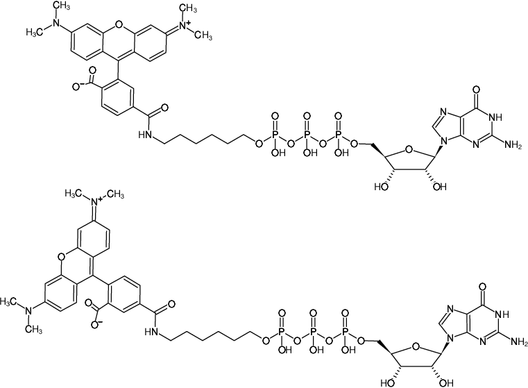 Structural formula of γ-(6-Aminohexyl)-GTP-5/6-TAMRA (γ-(6-Aminohexyl)-guanosine-5'-triphosphate, labeled with 5/6-TAMRA, Triethylammonium salt)