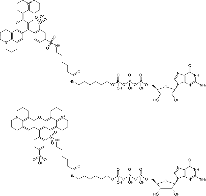 Structural formula of γ-(6-Aminohexyl)-GTP-Texas Red (γ-(6-Aminohexyl)-guanosine-5'-triphosphate, labeled with Texas Red, Triethylammonium salt)