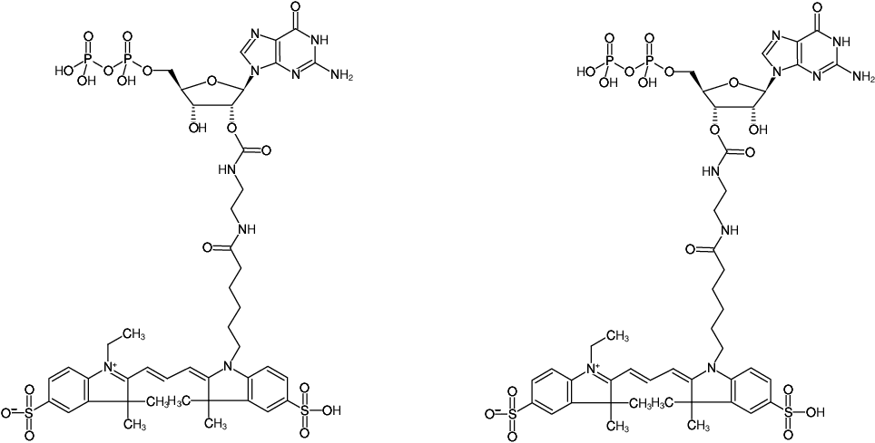 Structural formula of EDA-GDP-Cy3 (2'/3'-O-(2-Aminoethyl-carbamoyl)-Guanosine-5'-diphosphate, labeled with Cy3, Triethylammonium salt)