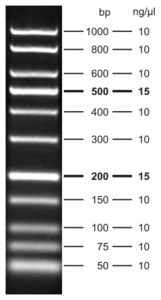 5 μl - 3.0 % agarose